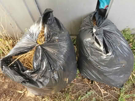 Photo of free 2 Bags of Straw (Saltaire BD18) #1