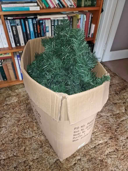 Photo of free Christmas tree (RG24) #1