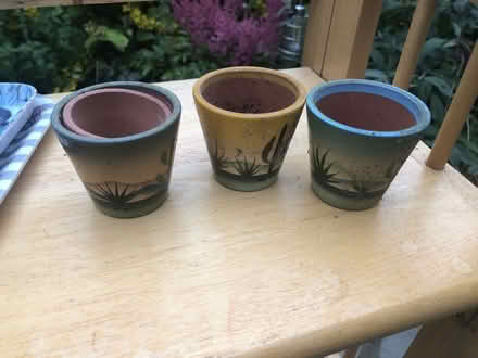 Photo of free Collection of small plant pots with trays (Cob Lane B29) #4