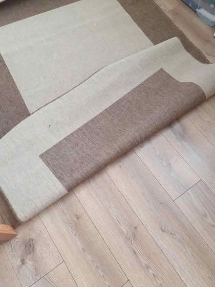 Photo of free Large rug (SW16 norbury) #1