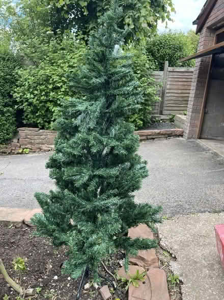 Photo of free Christmas tree in box (Penrith CA11) #3