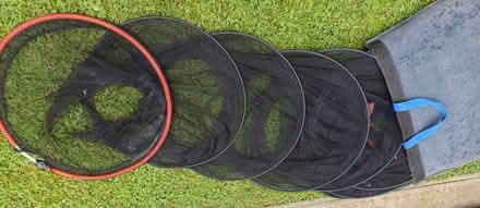 Photo of free Keep nets (Cainscross GL5) #1