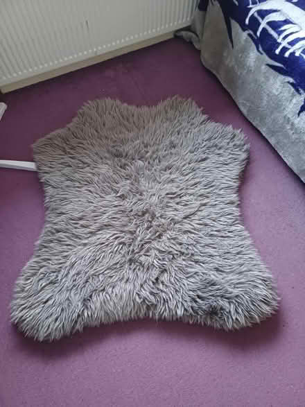 Photo of free Pet mat/bed (Bushey North WD23) #1