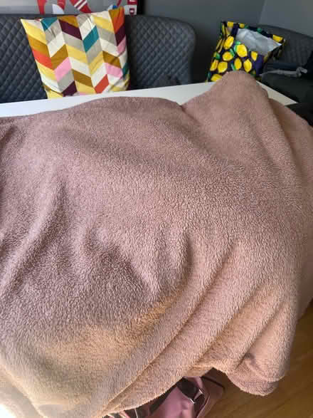 Photo of free Double teddy duvet (Dronfield S18) #1