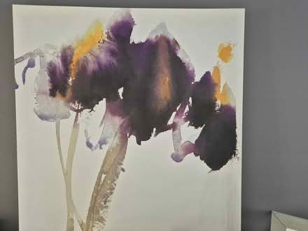 Photo of free Irises Canvas Print (Walton on Thames) #1