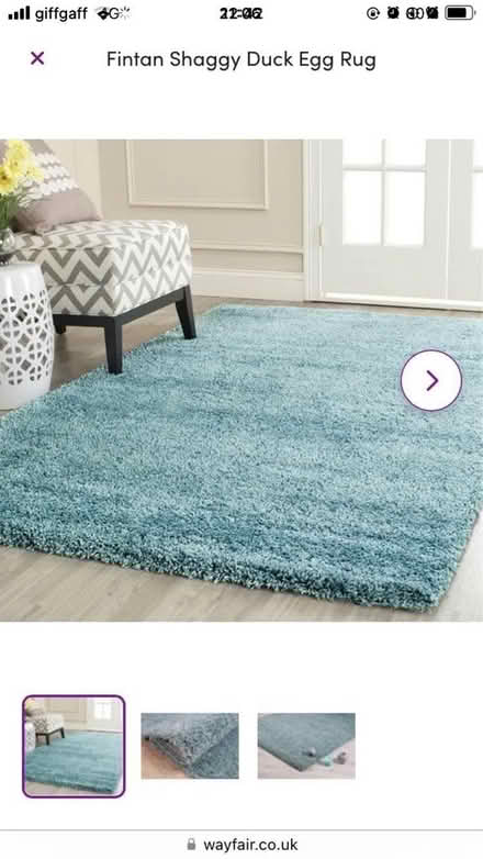 Photo of free Duck Egg Blue Shaggy Rug (Little Wymondley, SG4) #1