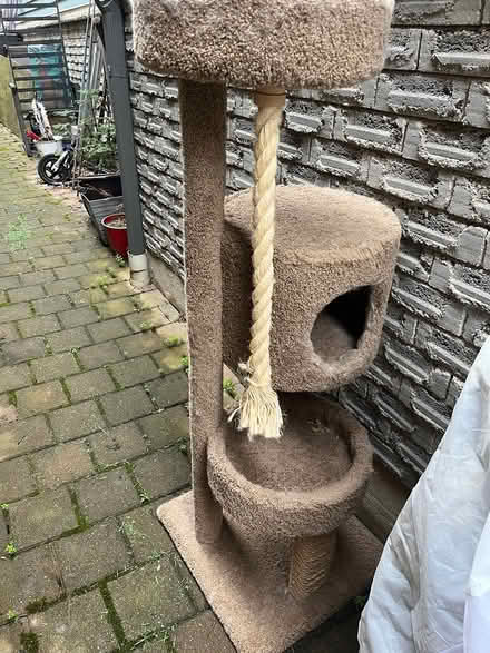 Photo of free Large cat tree (Near Erin Mills Town Centre) #1