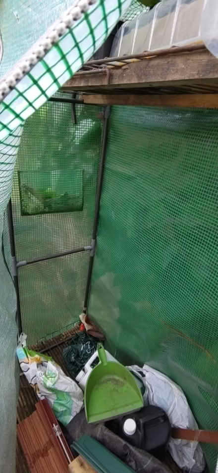 Photo of free Greenhouse (Levenshulme M19) #2