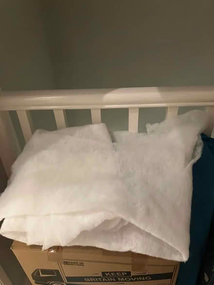 Photo of free Upholstery wadding (Orpington) #1