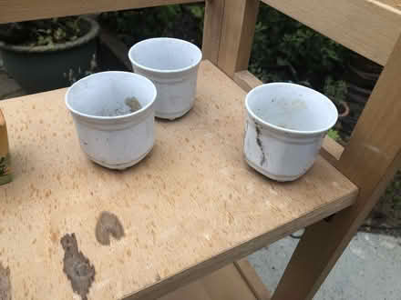 Photo of free Collection of small plant pots with trays (Cob Lane B29) #3