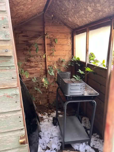Photo of free Small old shed (West Horsham) #2