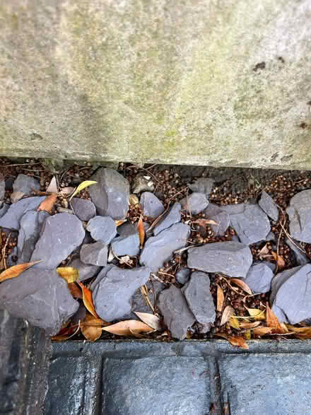Photo of free 2 bags of stones, 1 open (Nantwich) #2