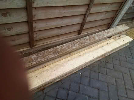 Photo of free Concrete posts (chesterfield S42) #1