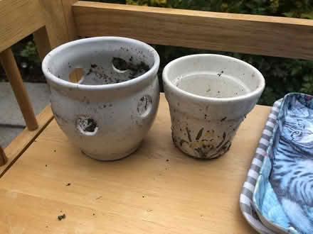 Photo of free Collection of small plant pots with trays (Cob Lane B29) #2