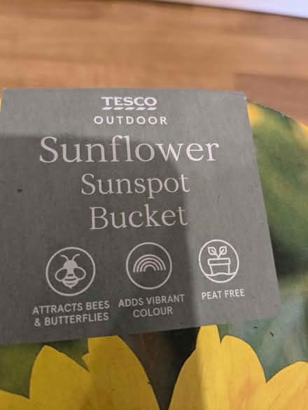 Photo of free Sunflower growing kit (Camberley GU15) #2