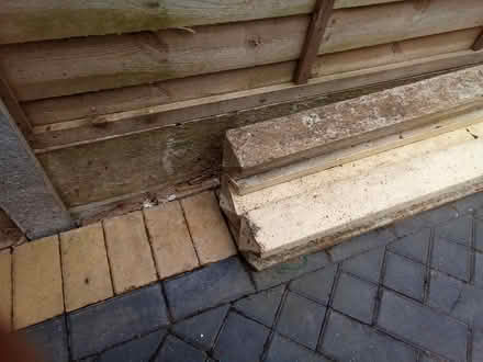 Photo of free Concrete posts (chesterfield S42) #2