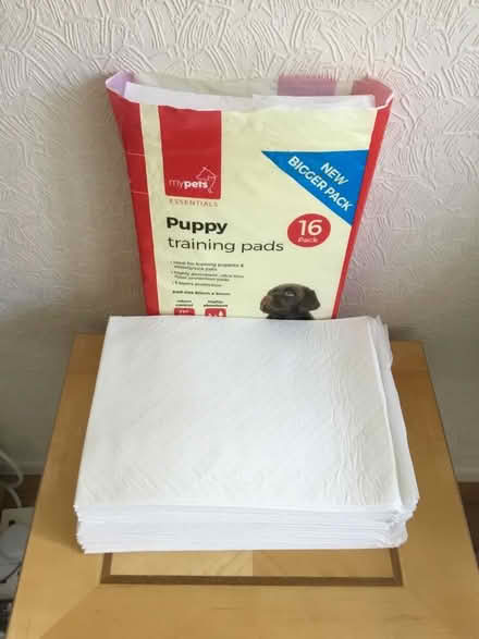Photo of free Puppy training pads (Hutton PR4) #1
