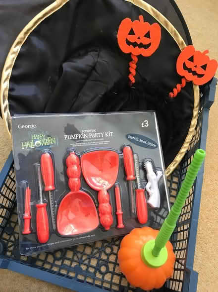 Photo of free Kids Halloween bits and bobs (Carter Knowle S7) #1