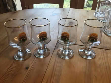 Photo of free Collection of glasses (Malvern Link WR13) #1