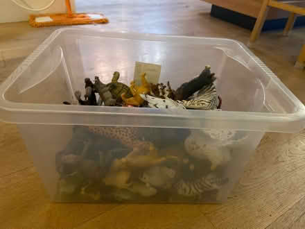 Photo of free Toy animals (Hitchin) #2