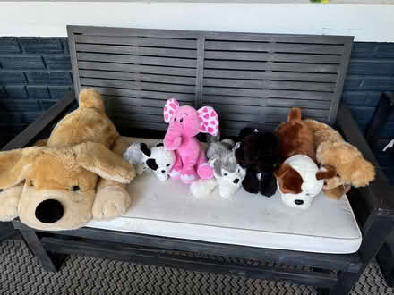 Photo of free Stuffed animals (Bloomingdale) #1