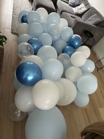 Photo of free Balloon arch (Havant PO9) #2
