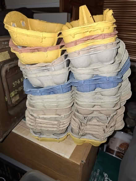 Photo of free Bag of empty egg boxes (Chelmsford CM1) #1