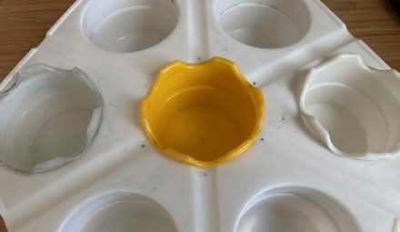 Photo of free Kid's Paint-mixing Tray + (GMV SE10) #3