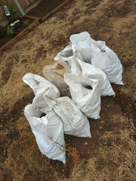 Photo of free 9 Bags of Stones/Hardcore (CT1) #4