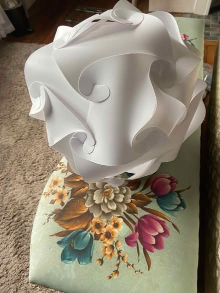 Photo of free Funky ceiling Lampshade (BN14) #1