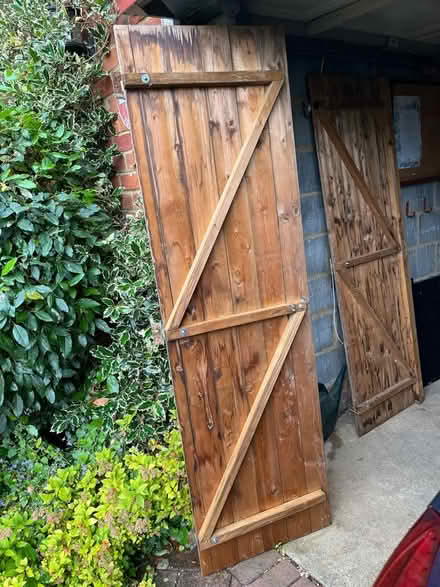 Photo of free 2 Shed Doors (Hitchin Herts) #3