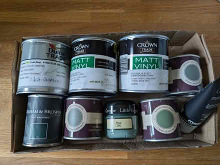 Photo of free Green wall paint samples (Grove Park SE9) #1