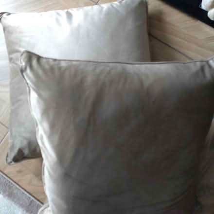 Photo of free 2 large beige cushions (Sydenham, SE26) #1