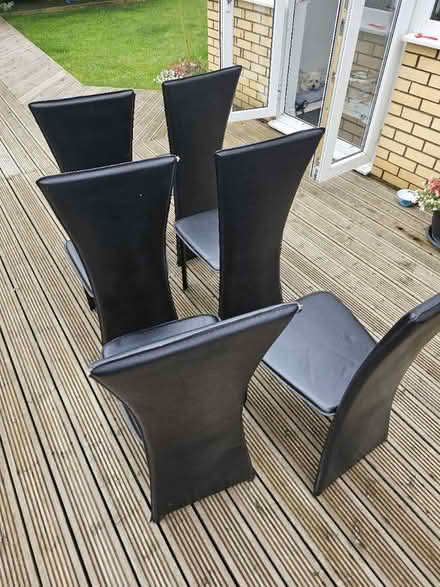 Photo of free 6x dining table chairs (SG2) #2
