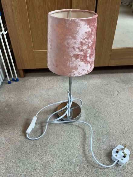 Photo of free Pink lamp (Penistone S36) #1