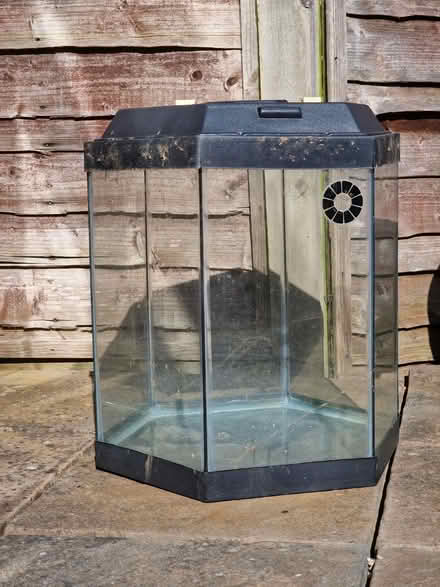 Photo of free Hexagonal glass fish tank (Great Ashby SG1) #1