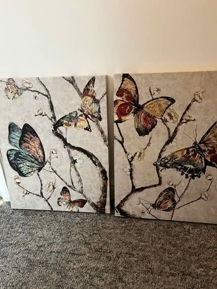 Photo of free Butterfly pictures (Penistone S36) #1