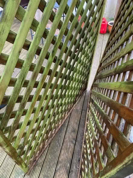 Photo of free Trellis (Surbiton KT5) #2