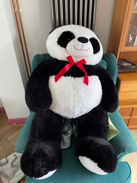 Photo of free Large Panda Teddy (L19 Allerton) #1
