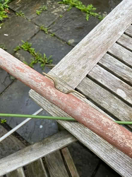 Photo of free Parasol (Widcombe) #3