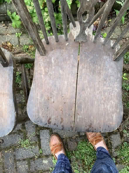 Photo of free 4 chairs (Chelmsford CM1) #3
