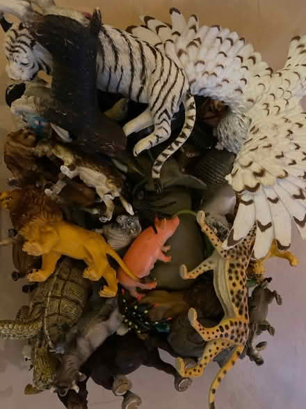 Photo of free Toy animals (Hitchin) #1
