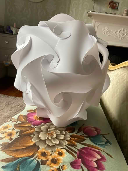 Photo of free Funky ceiling Lampshade (BN14) #2
