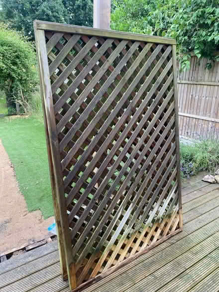 Photo of free Trellis (Surbiton KT5) #1