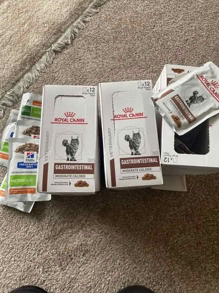 Photo of free cat food (Ruislip UB10) #1