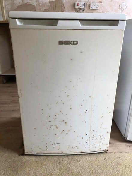 Photo of free Under Counter Freezer (Bradford on Avon BA15) #1