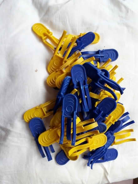 Photo of free Clothes pegs (Branksome Chine BH13) #1