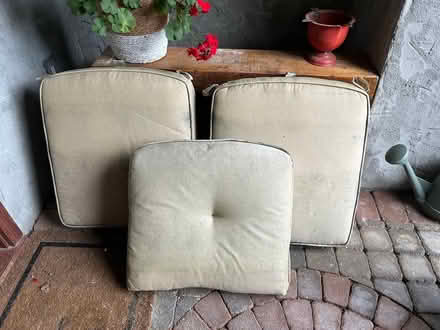 Photo of free umbrella cushions (Grand Blanc/ Goodrich) #1