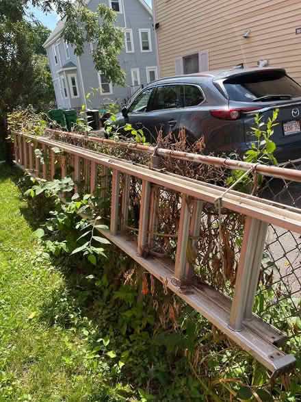 Photo of free Outdoor ladder (75 Jerome St W.Medford) #1