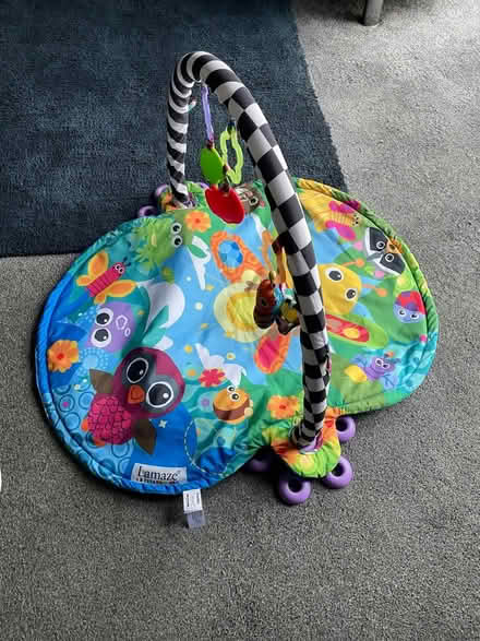 Photo of free Baby’s Basic Play Gym (Glan Conwy (LL28)) #2